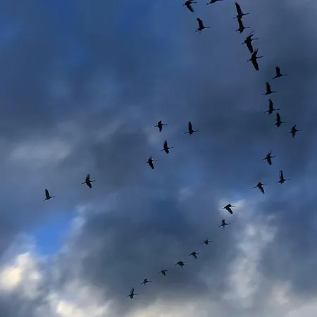 Apartamento Südzimmer 1 So Lärz