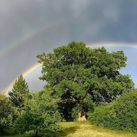 Südzimmer 1 So Apartamento Lärz