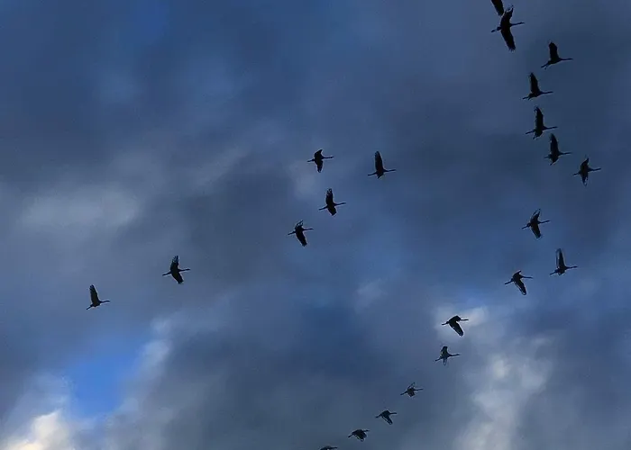 Apartment Südzimmer 1 So - A76168 Lärz