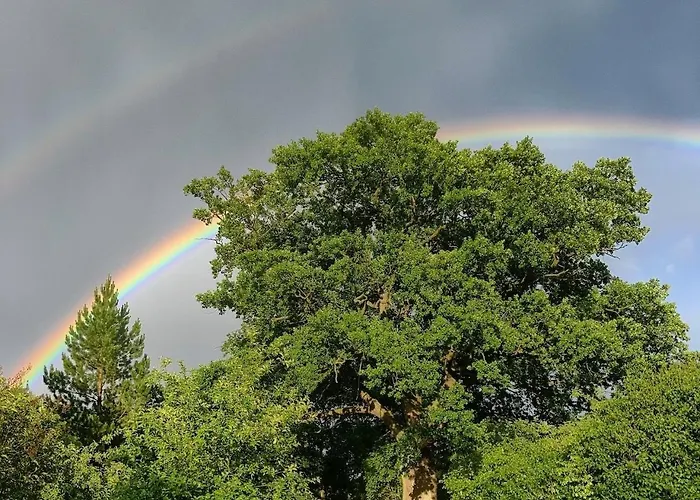 Südzimmer 1 So - A76168 Apartment Lärz